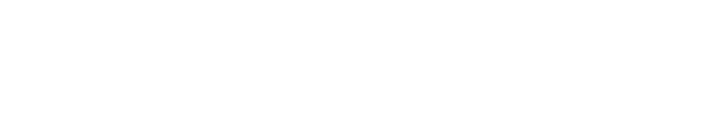 Logo Motorex blanc